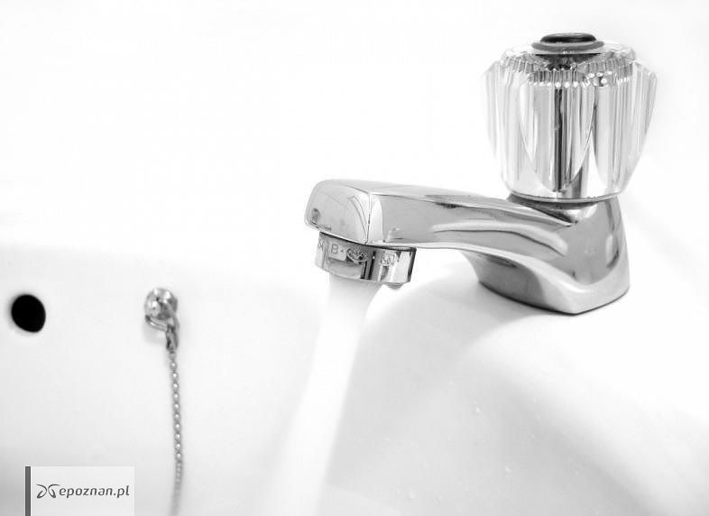 fot. Matthew Bowden/freeimages.com