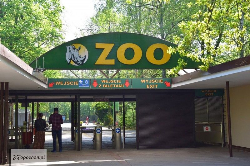 fot. Nowe ZOO
