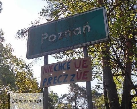 fot. Tomasz