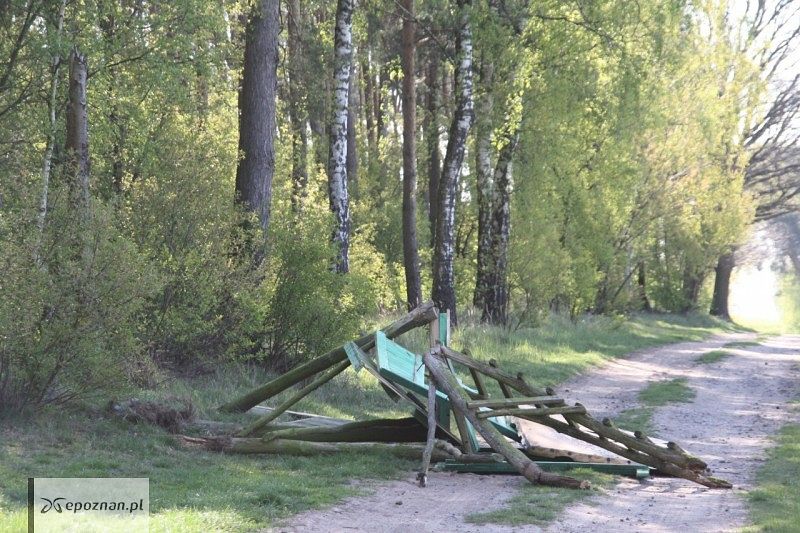 fot. Majątek Rogalin / Facebook