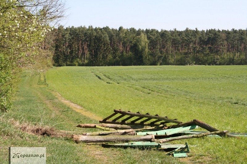 fot. Majątek Rogalin / Facebook
