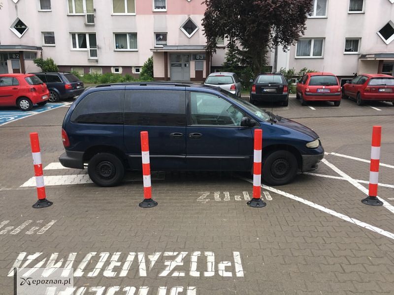 fot. czytelnik