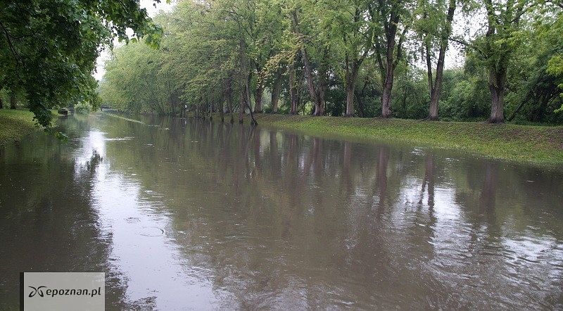 fot. Włodzimierz  Hoppel