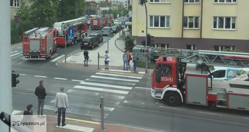 fot. Karolina