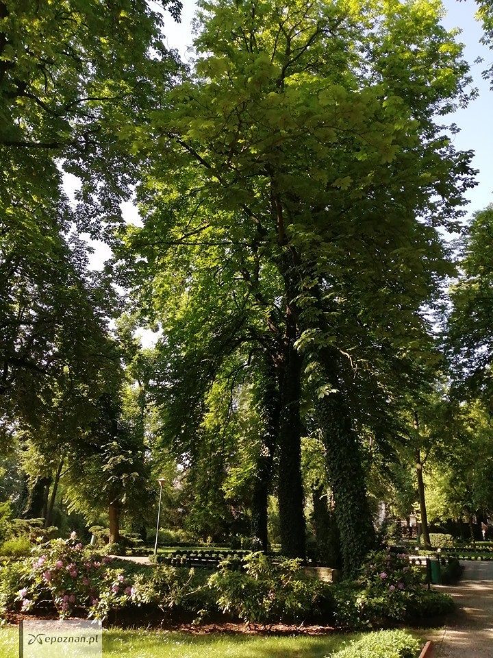 fot. Zoo Poznań / FB
