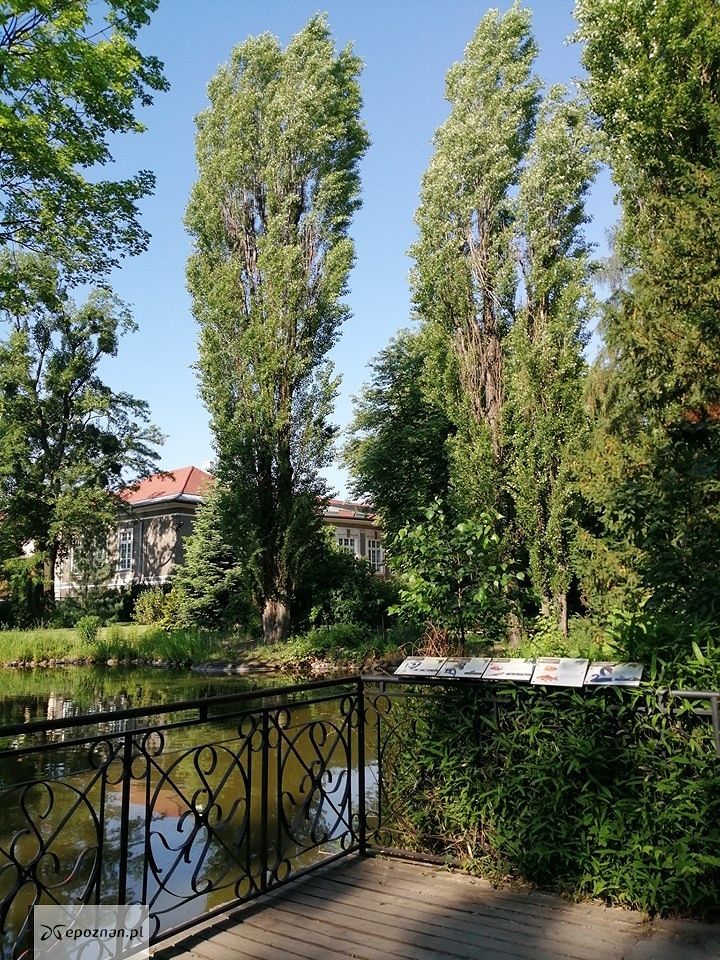 fot. Zoo Poznań / FB