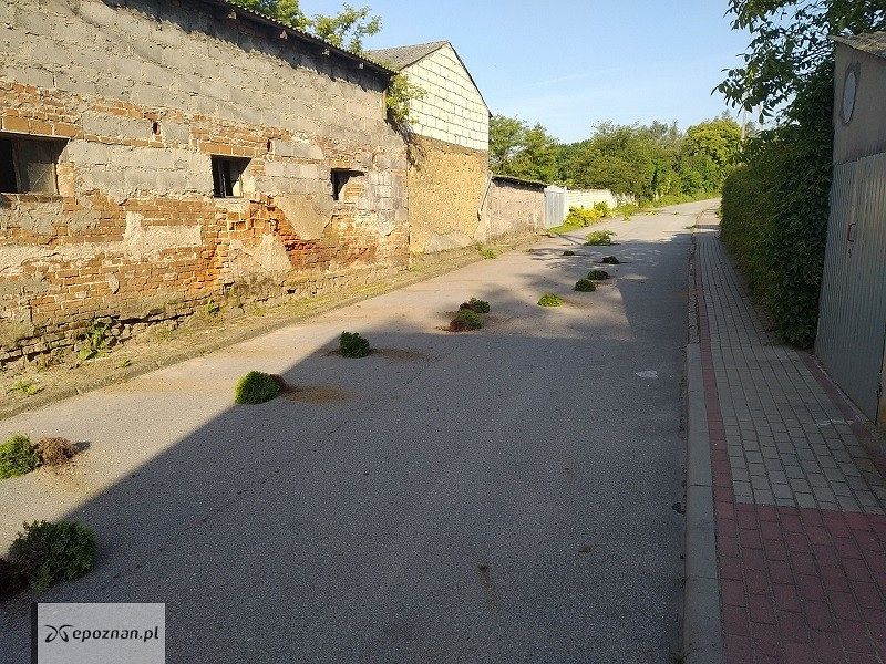 fot. Policja Gniezno