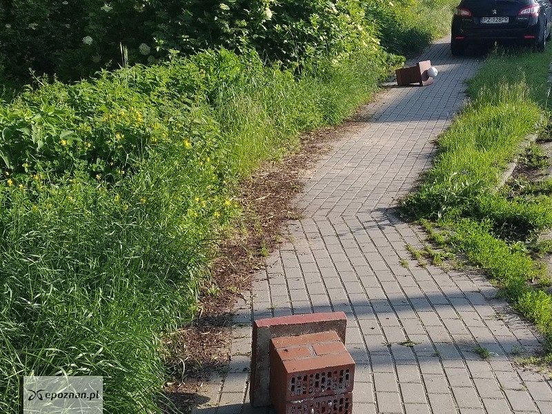 fot. Policja Gniezno
