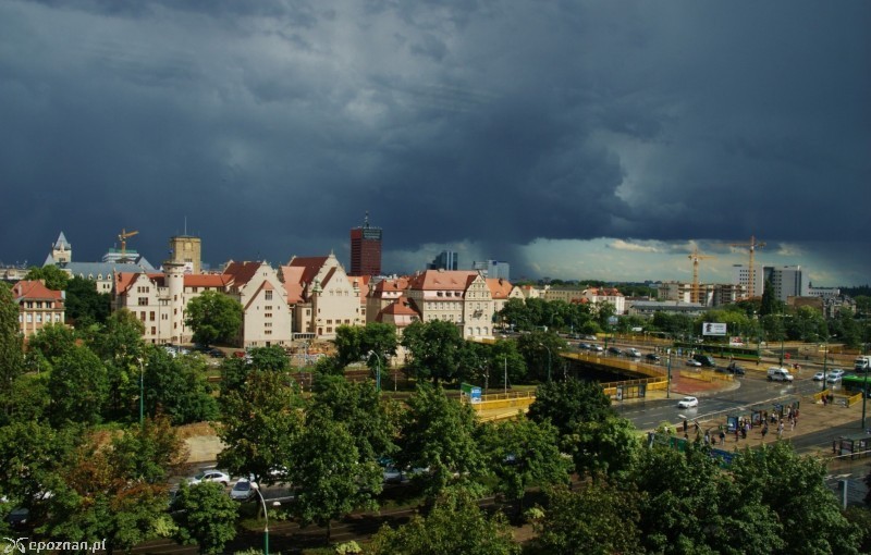 fot. Edyta Stec