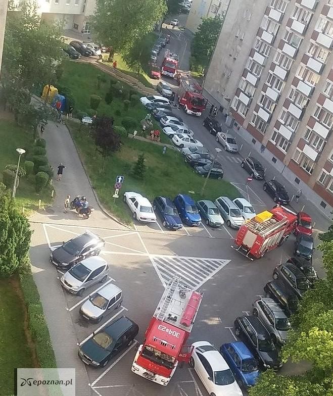 fot. czytelnik