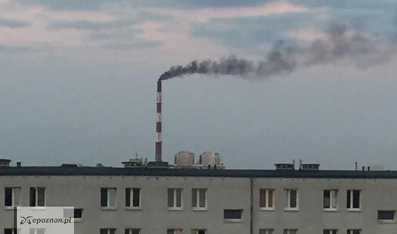 fot. czytelnik