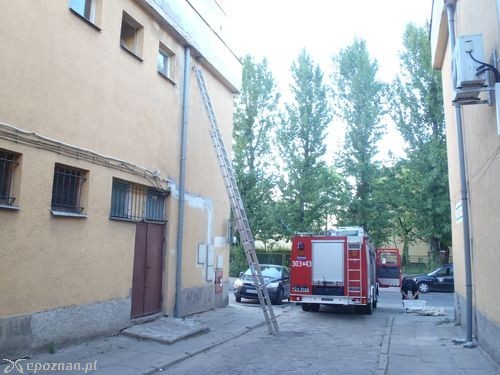 fot. SM