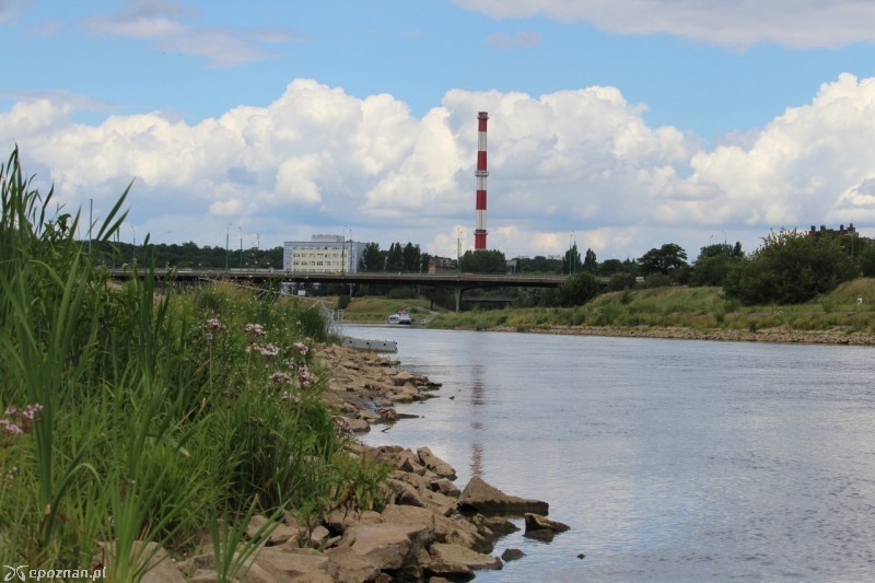 fot. Jędrzej Gerwel / archiwum