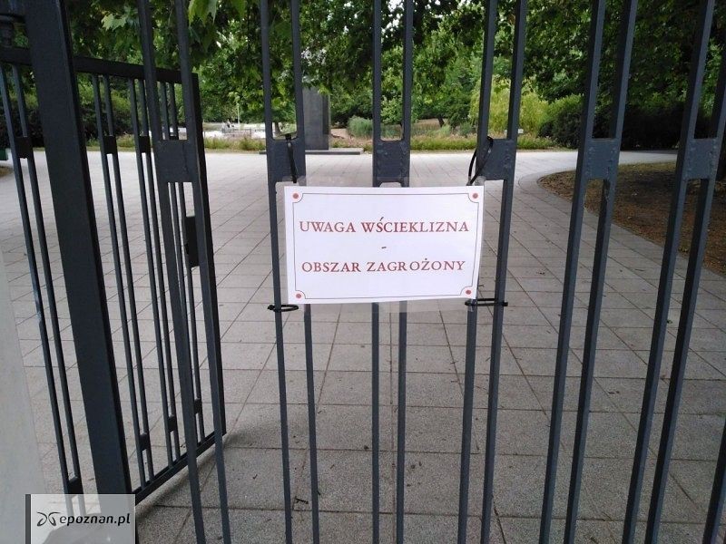 fot. Tomasz