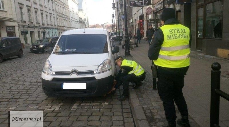 fot. Straż miejska