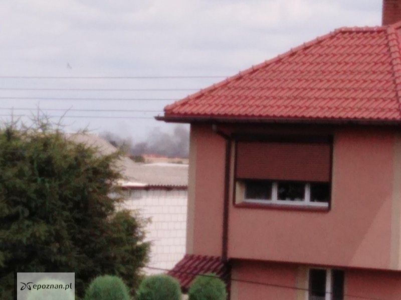 fot. czytelnik