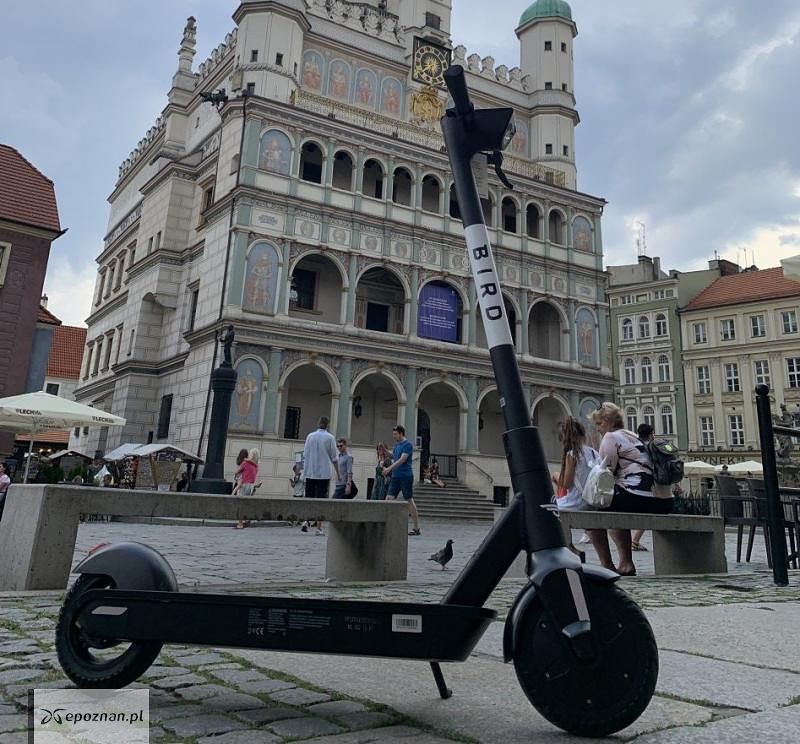 fot. materiały prasowe