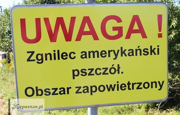 fot. materiały prasowe