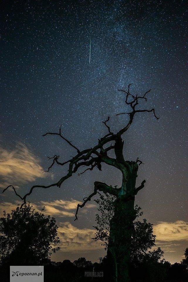 Perseidy upolowane w nocy z 10 na 11 sierpnia | fot. Leszek Bartczak / Piorunująco