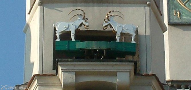 fot. Wikipedia.org
