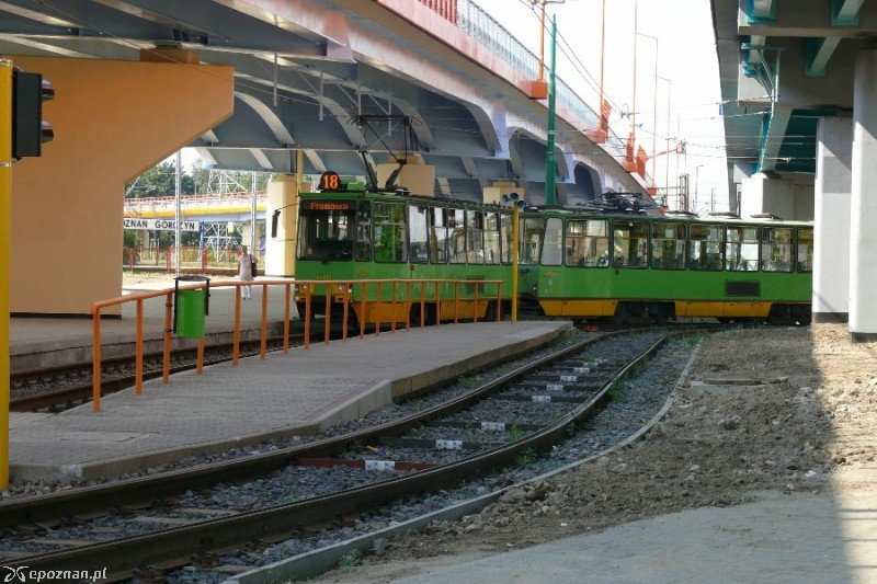 fot. Elżbieta Skowron