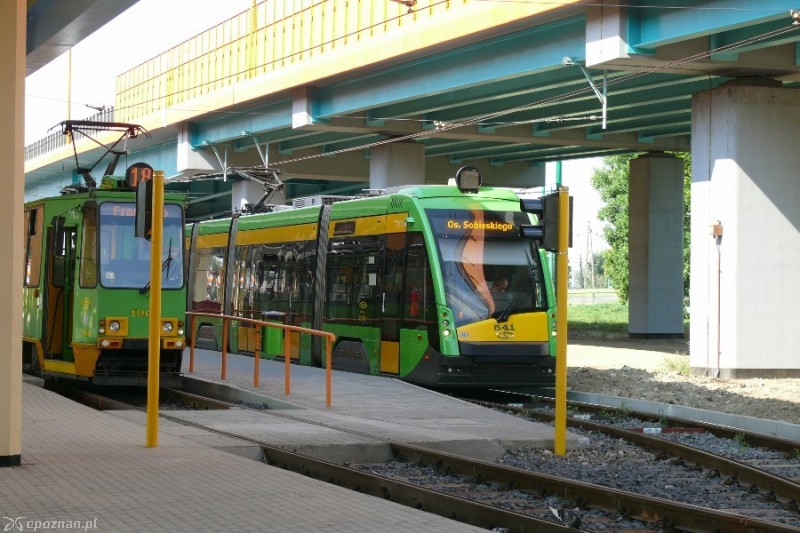 fot. Elżbieta Skowron