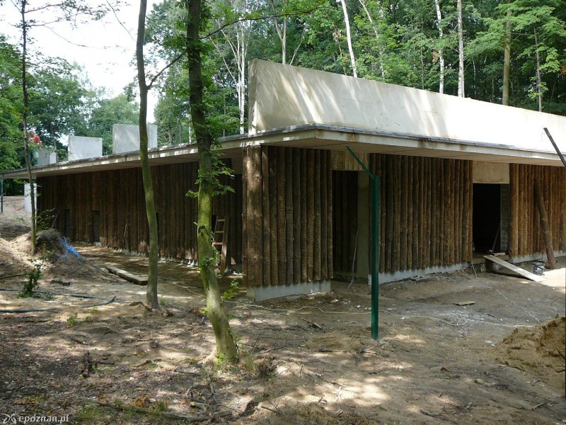 Tak obecnie wygląda niedźwiedziarnia | fot. Nowe ZOO
