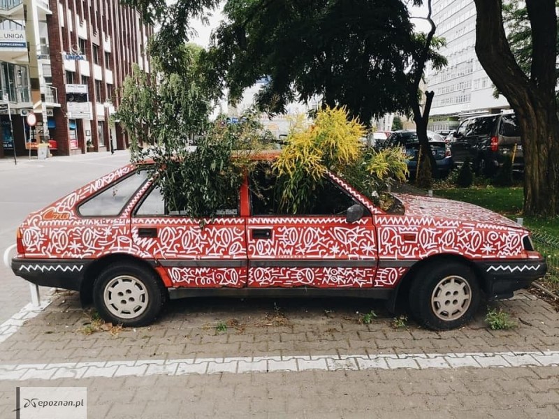 Autodoniczka w połowie sierpnia | fot. Noriaki