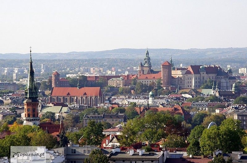 fot. By Jakub Hałun - Own work, CC BY-SA 3.0, https://commons.wikimedia.org/w/index.php?curid=25313428
