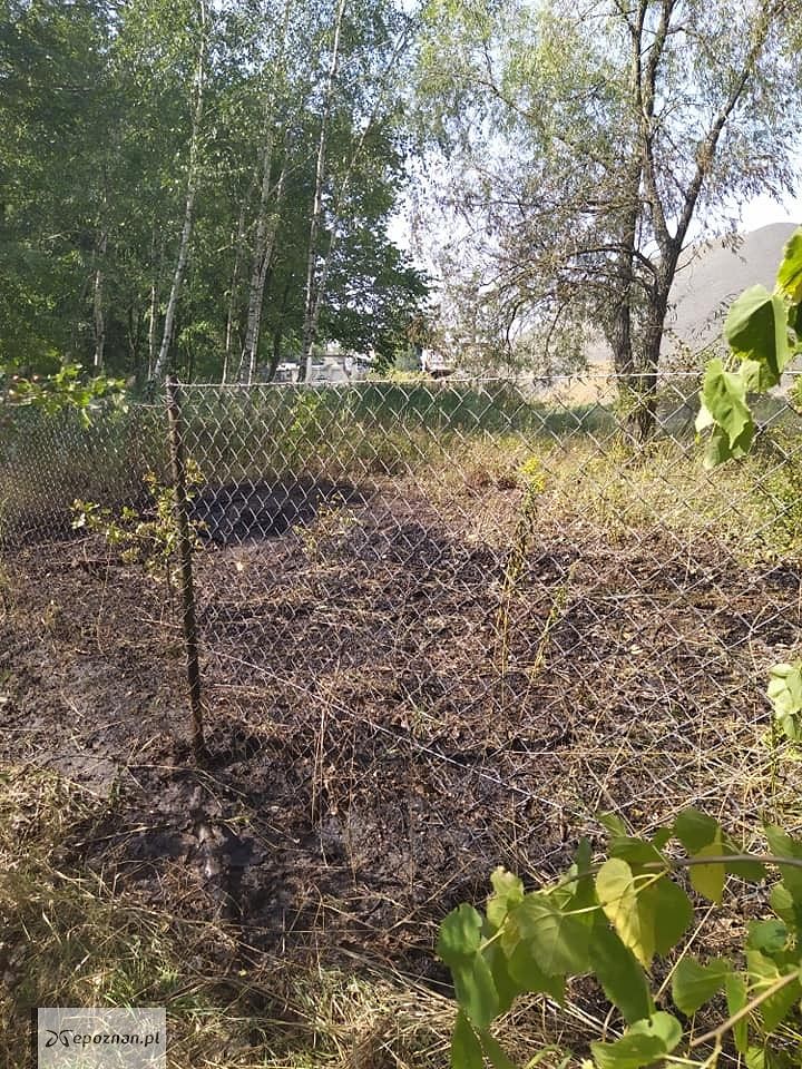 fot. OSP Palędzie