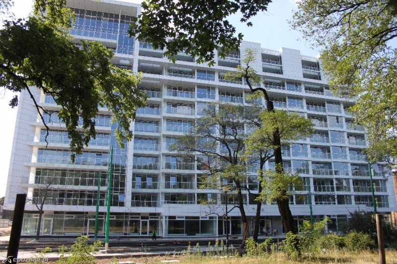 fot. Elżbieta Skowron