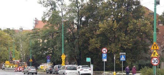 fot. Włodzimierz  Hoppel