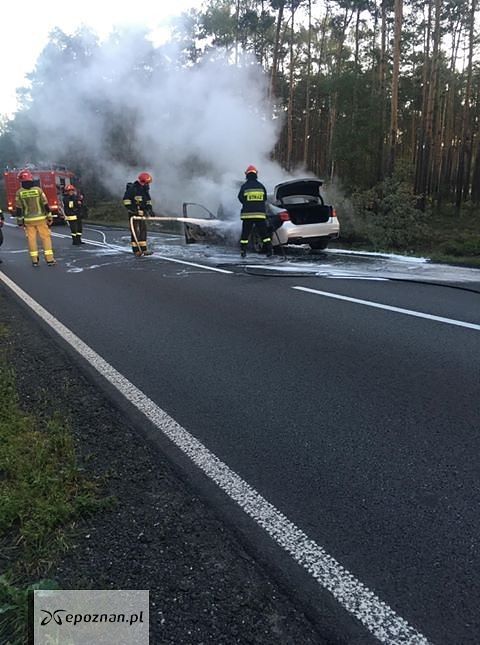fot. ostrzeszowinfo.pl