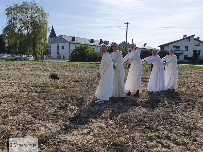 fot. Dom Chłopaków w Broniszewicach / FB
