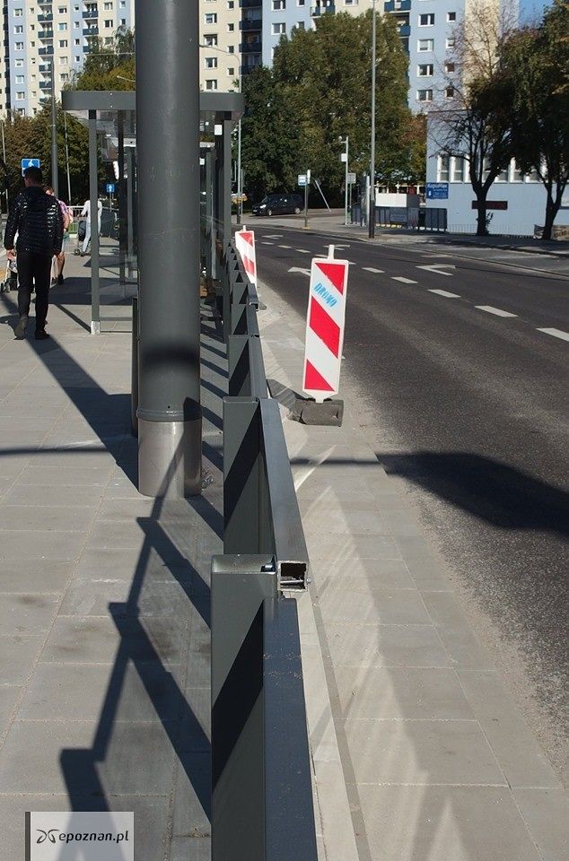 fot. Gemela poznańska