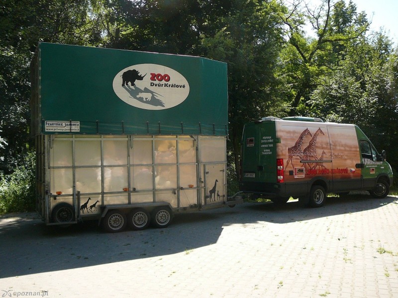fot. Nowe ZOO