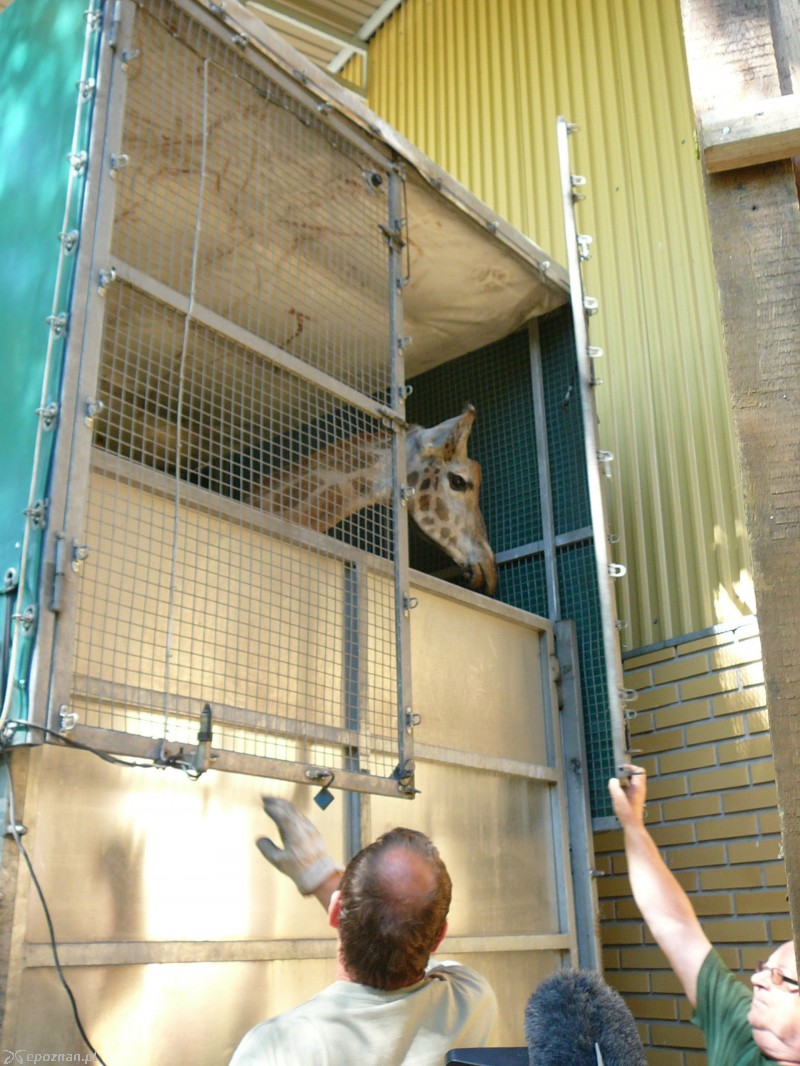 fot. Nowe ZOO