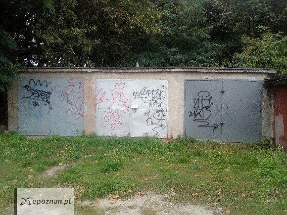 fot. policja