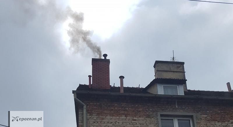 fot. Piotr