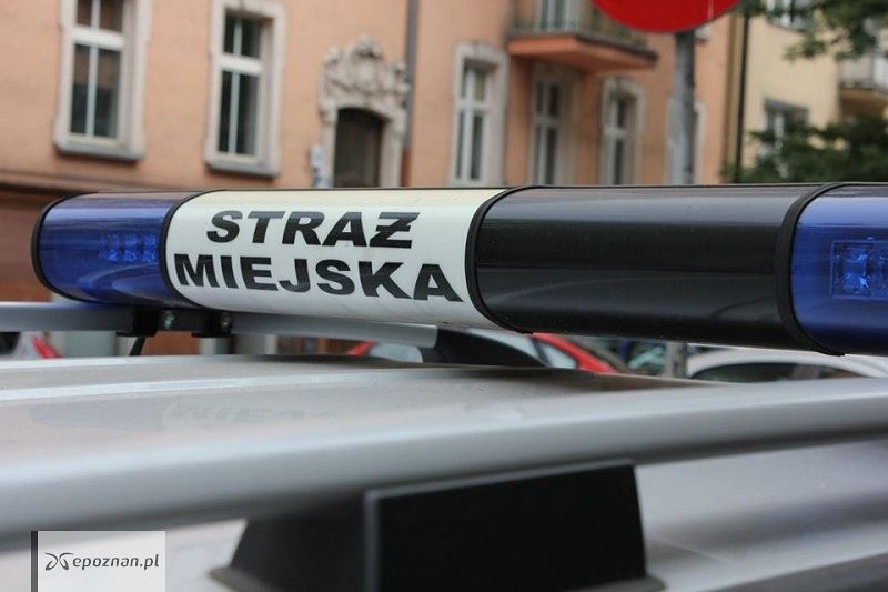 fot. Straż miejska