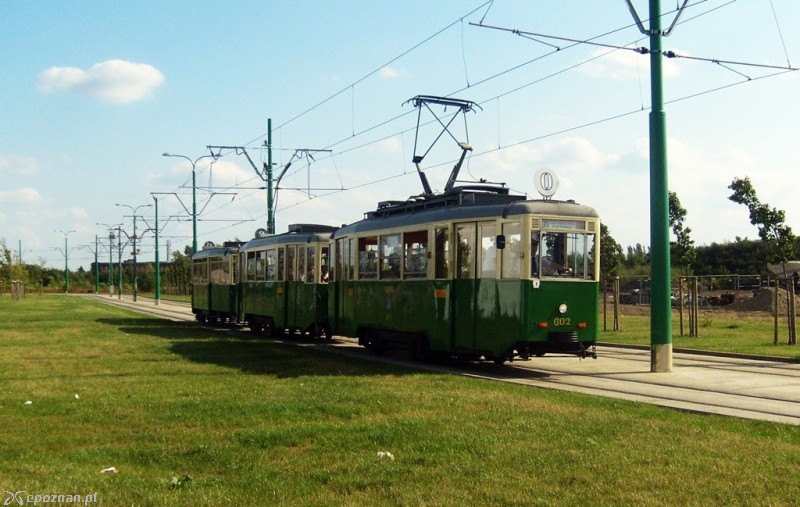 fot. TOR