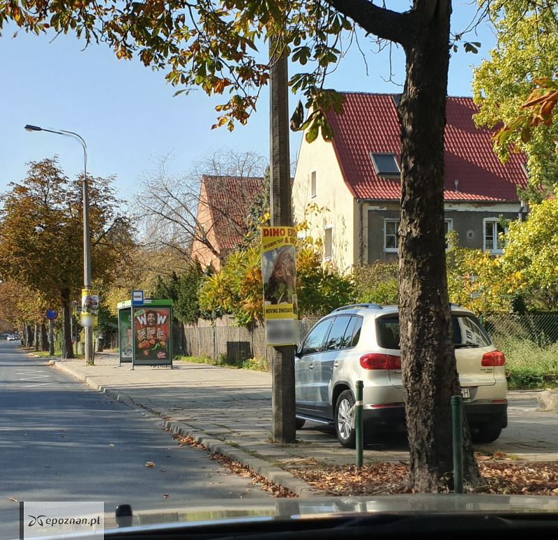 fot. Paweł / widz WTK