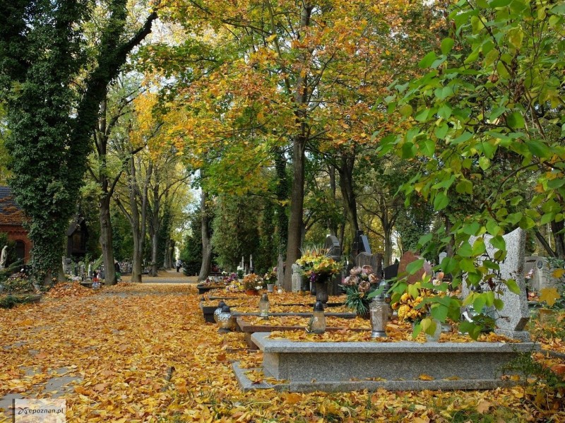 fot. Zarząd Geodezji i Katastru Miejskiego GEOPOZ