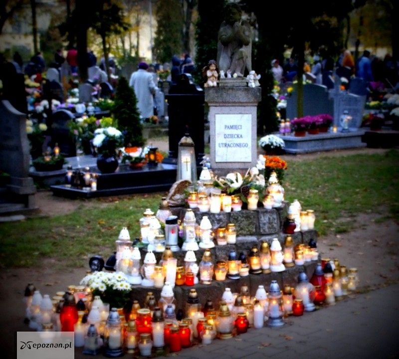 fot. Włodzimierz  Hoppel