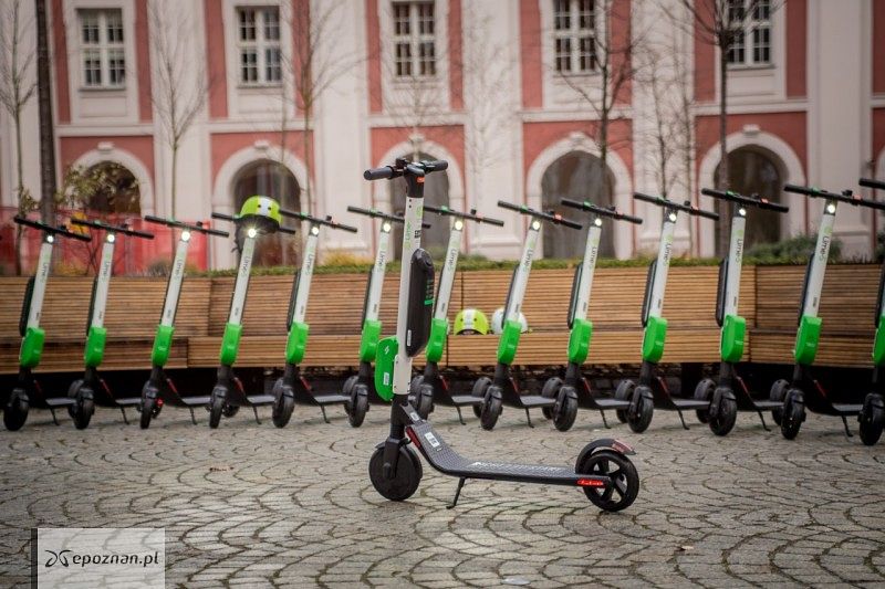 fot. materiały prasowe
