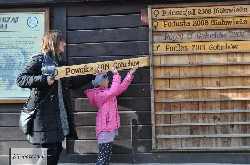 fot. J. Mróz / Ośrodek Kultury Leśnej w Gołuchowie