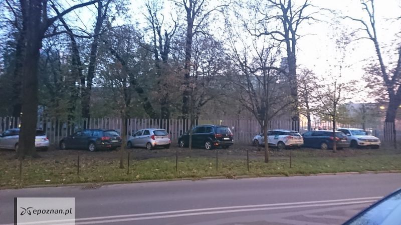 fot. Grzegorz