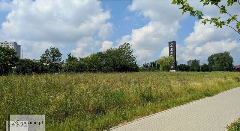 Tę działkę udało się sprzedać | fot. Urząd Miasta