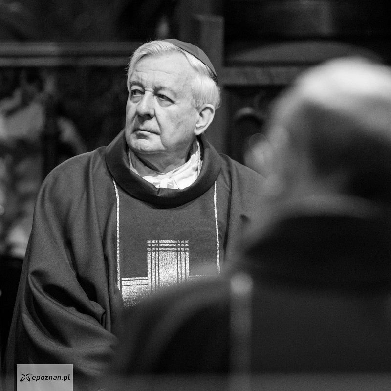 fot. PAP/Marek Zakrzewski