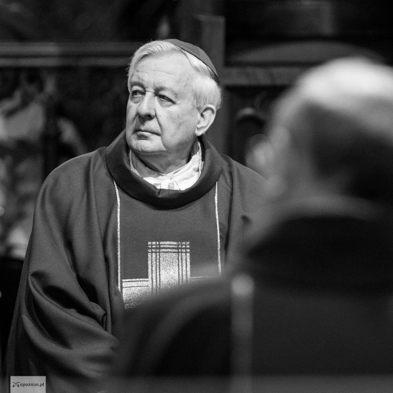 fot. PAP/Marek Zakrzewski